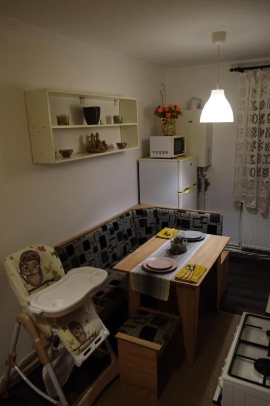 Apartament Thea Appartement Făgăraş Buitenkant foto