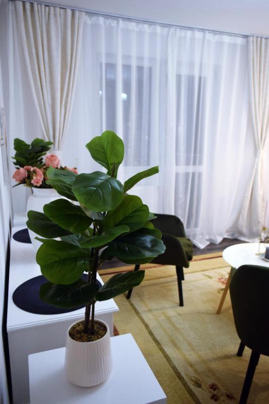 Apartament Thea Appartement Făgăraş Buitenkant foto
