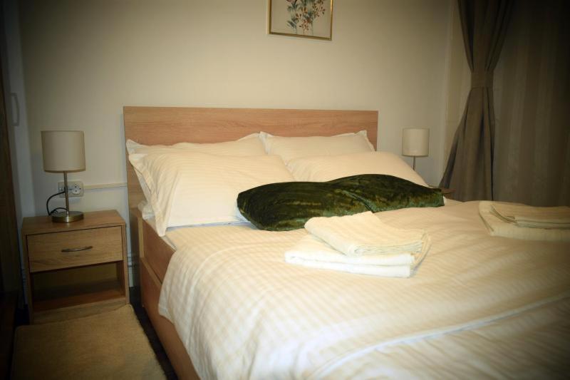 Apartament Thea Appartement Făgăraş Buitenkant foto